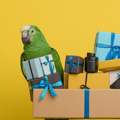 Collection image for: Popular Gifts