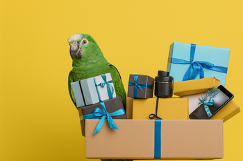 Popular Gifts