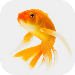Collection image for: Fish