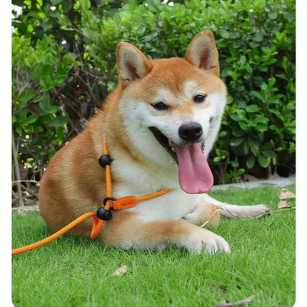 No-Pull Dog Slip Lead – Training Leash with Padded Handle