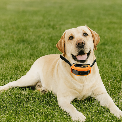 Wireless Dog Fence System – 2-in-1 Rechargeable Training Collar