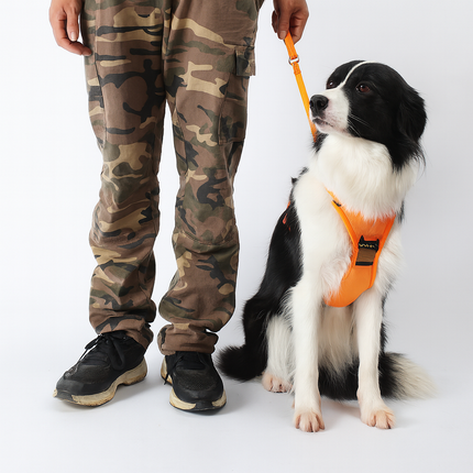 Orange Dog Harness – No-Pull Harness for Dogs