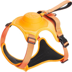 Collection image for: Harnesses (Dogs)