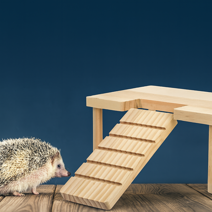 Wooden Hamster Platform with Ladder – Small Animal Ramp for Cages