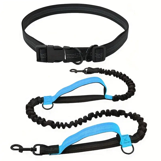 PawStrap Dog Leash – Retractable Hands-Free with Shock Absorption