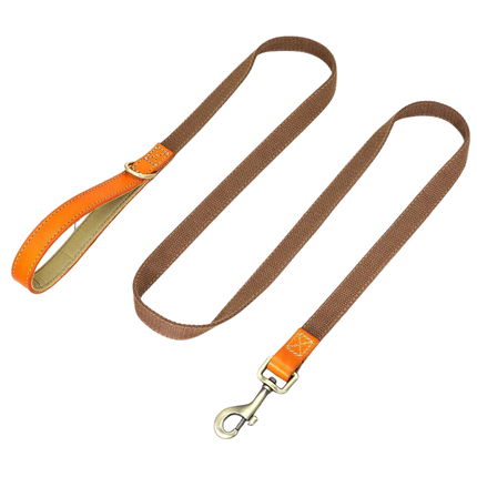 Dog Leash 150 cm – Durable Nylon Lead with PU Leather Handle