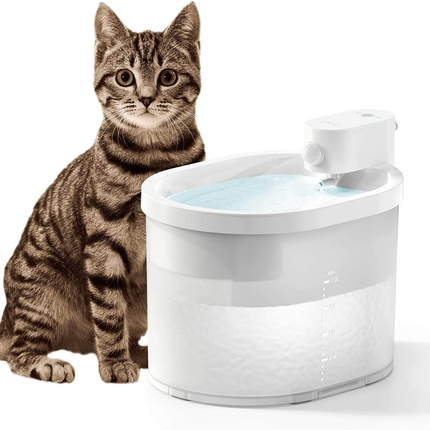 Smart Cat Water Fountain – 2L Wireless Dispenser