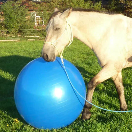 Equine Balance Ball – Inflatable Training and Play Tool for Horses