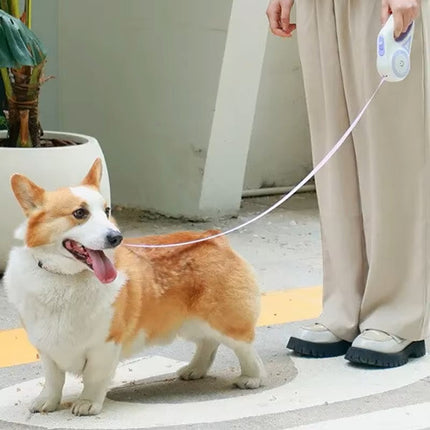 Retractable Dog Leash – LED Light Automatic Extendable Lead (3m/5m)