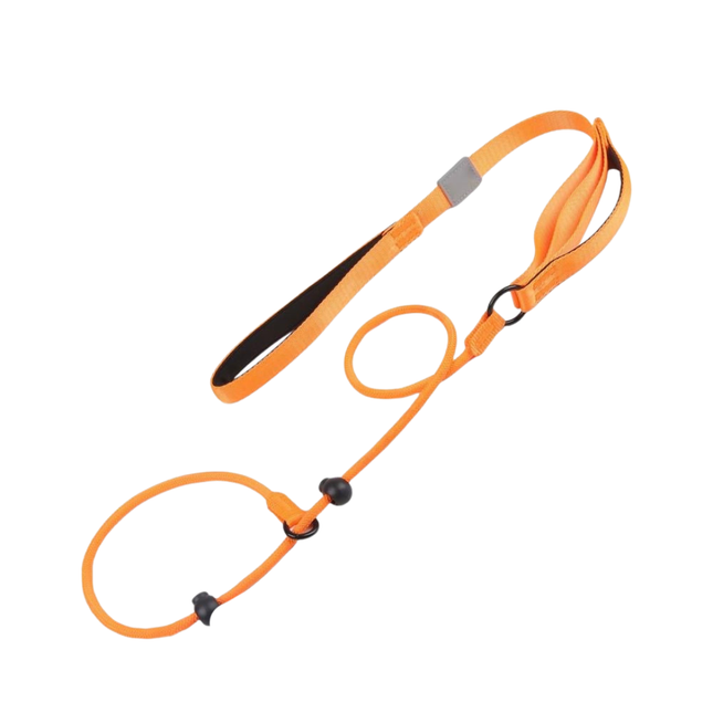 No-Pull Dog Slip Lead – Training Leash with Padded Handle