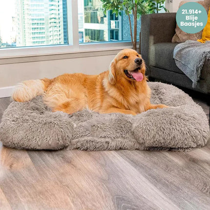 Pet Sofa Bed – Square Washable Cushion with Removable Cover