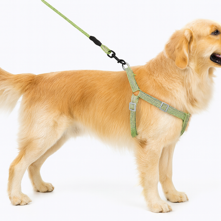 Adjustable Pet Harness and Leash Set – For Dogs