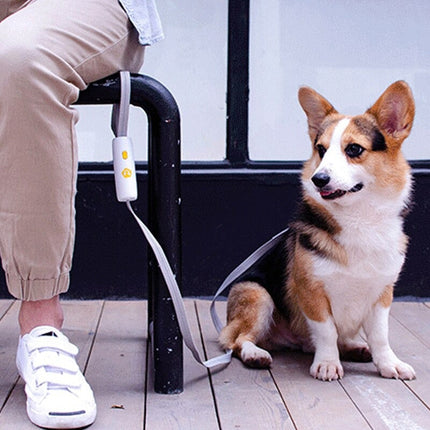 Retractable Pet Leash – Durable Nylon Lead for Dogs