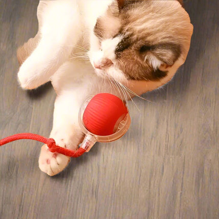 Automatic Rolling Ball – Interactive Rechargeable Toy for Cats and Dogs