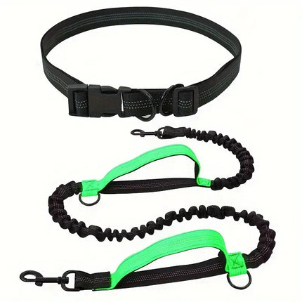 PawStrap Dog Leash – Retractable Hands-Free with Shock Absorption