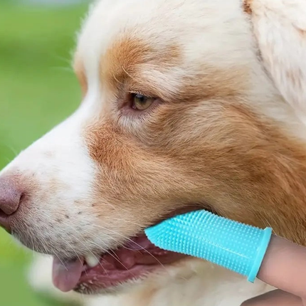 Pet Finger Toothbrush – Soft Silicone Cleaning Tool for Dogs and Cats