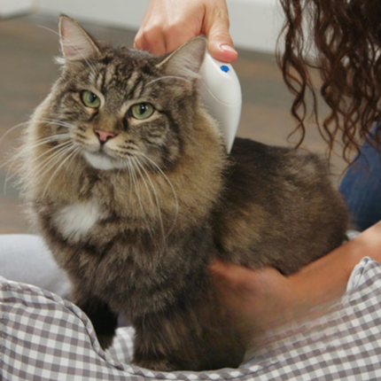 Electric Pet Comb – Portable Grooming Tool for Dogs and Cats