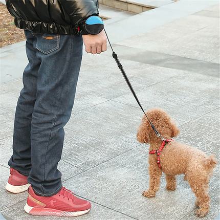 Retractable Pet Leash – 3M Automatic Lead for Dogs