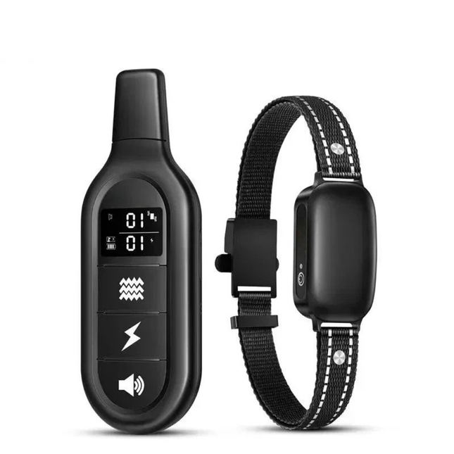 Rechargeable Waterproof Dog Training Collar with Remote