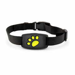 Collection image for: Collars, Harnesses & Leashes (Dogs)