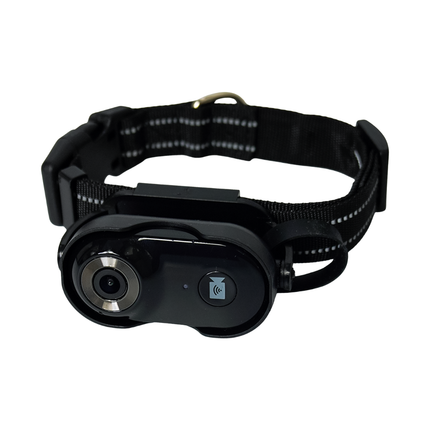 Smart Cam Pet Collar – 4K Portable WiFi Action Camera