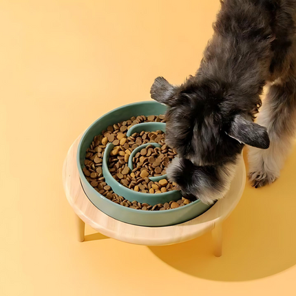 Ceramic Elevated Pet Bowl – Slow Feeder for Cats & Dogs