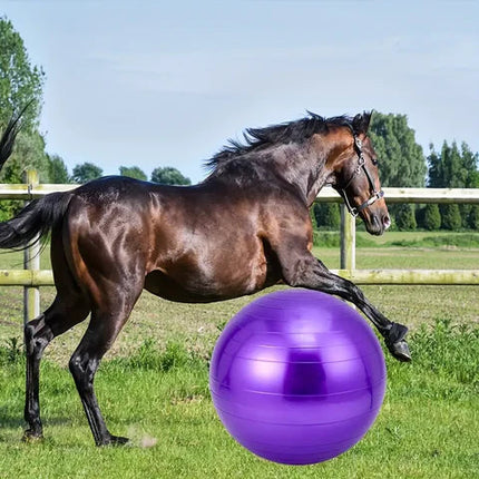 Equine Balance Ball – Inflatable Training and Play Tool for Horses
