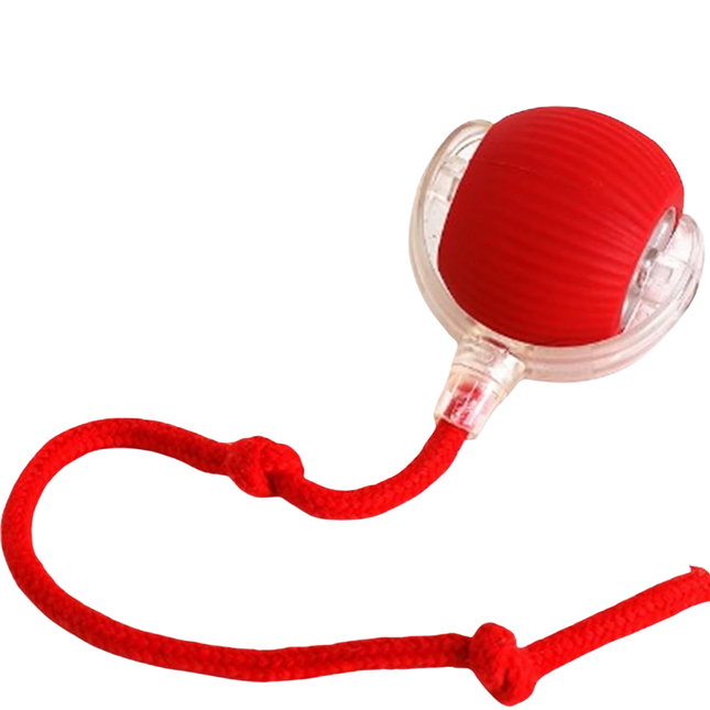 Automatic Rolling Ball – Interactive Rechargeable Toy for Cats and Dogs