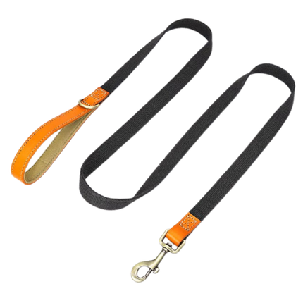 Dog Leash 150 cm – Durable Nylon Lead with PU Leather Handle