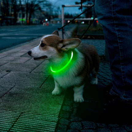 LED Dog Collar – Adjustable USB Rechargeable Light-Up for Night Visibility