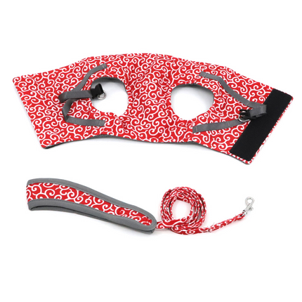 Pet Harness and Leash Set – Adjustable Breathable Vest for Cats