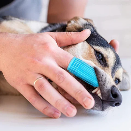 Pet Finger Toothbrush – Soft Silicone Cleaning Tool for Dogs and Cats