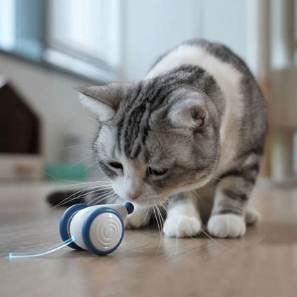 Interactive Cat Toy – USB Rechargeable Moving Mouse