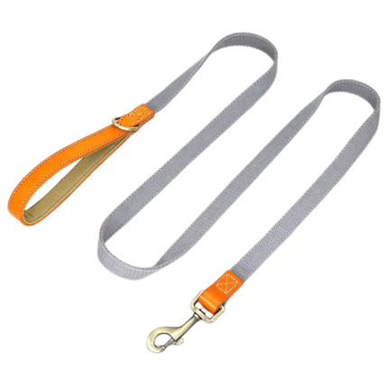 Dog Leash 150 cm – Durable Nylon Lead with PU Leather Handle