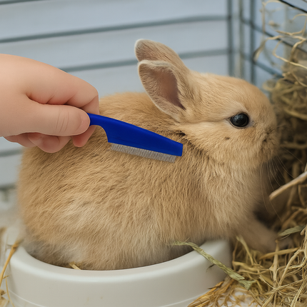 Rabbit Grooming Kit – Nail Clipper, Brushes & Combs for Small Pets