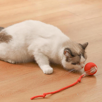 Automatic Rolling Ball – Interactive Rechargeable Toy for Cats and Dogs