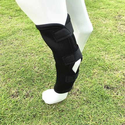 Pet Knee Brace Pair – Joint Wrap Support for Dogs