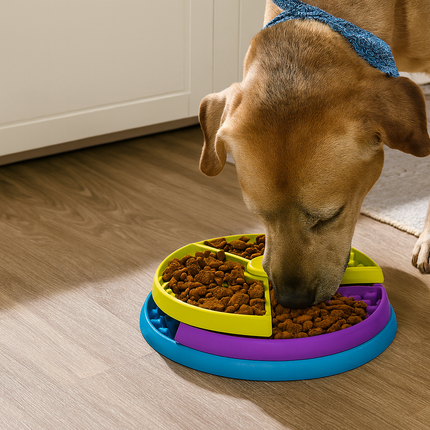 Booteely Slow Feeder Dog Bowl – 3-Level Puzzle with Non-Slip Base