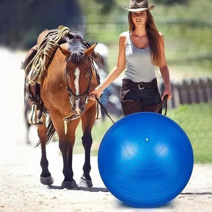 Equine Balance Ball – Inflatable Training and Play Tool for Horses