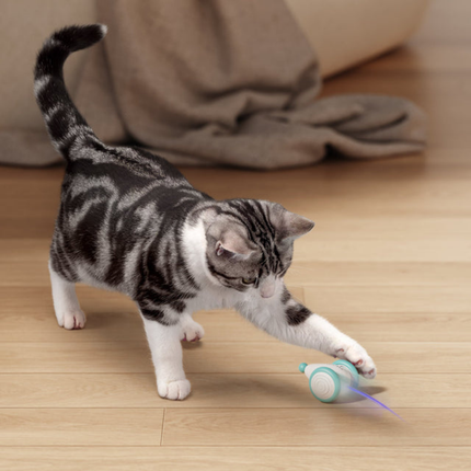 Interactive Cat Toy – USB Rechargeable Moving Mouse