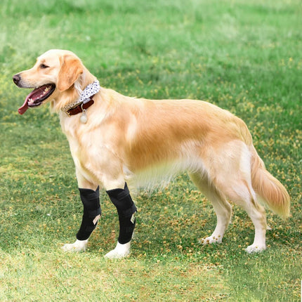 Pet Knee Brace Pair – Joint Wrap Support for Dogs