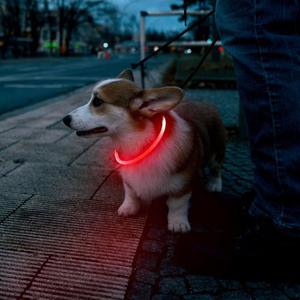 LED Dog Collar – Adjustable USB Rechargeable Light-Up for Night Visibility