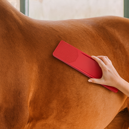 6-in-1 Horse Brush – Multifunctional Grooming Tool