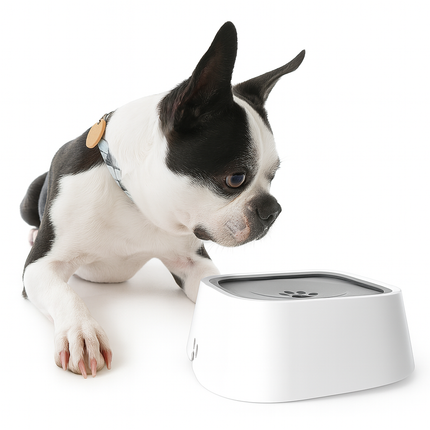 No-Spill Floating Water Bowl for Pets