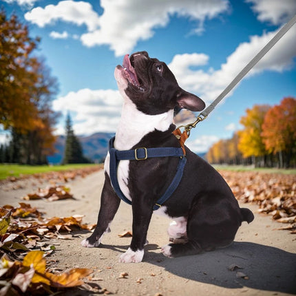 Nylon Reflective Pet Harness – Adjustable Vest for Small and Medium Dogs and Cats