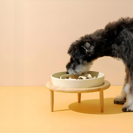 Ceramic Elevated Pet Bowl – Slow Feeder for Cats & Dogs
