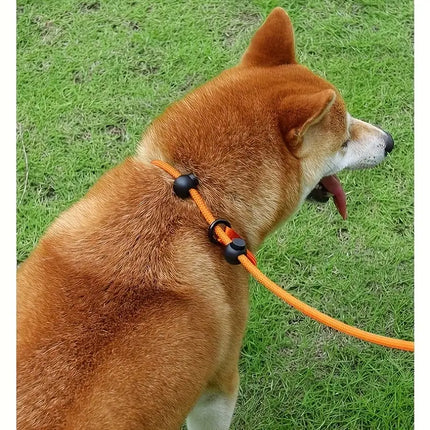 No-Pull Dog Slip Lead – Training Leash with Padded Handle