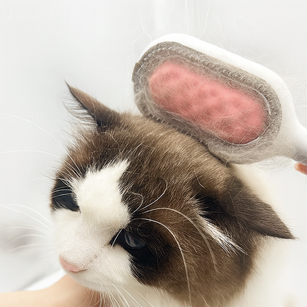 3-in-1 Pet Grooming Brush – Cats & Dogs