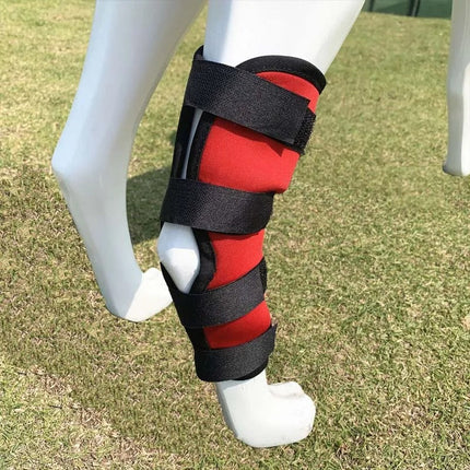 Pet Knee Brace Pair – Joint Wrap Support for Dogs