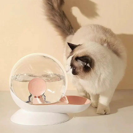 Pet Water Dispenser – Automatic Drinking Fountain with Filter and Large Capacity